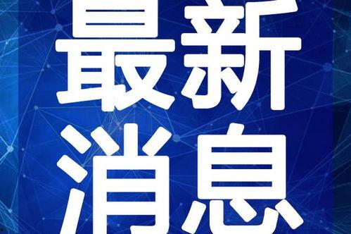 皮蛋爆料官最新视频,精彩瞬间不容错过！