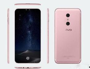 vivo手机最新爆料,颠覆性设计即将亮相，引领行业新潮流